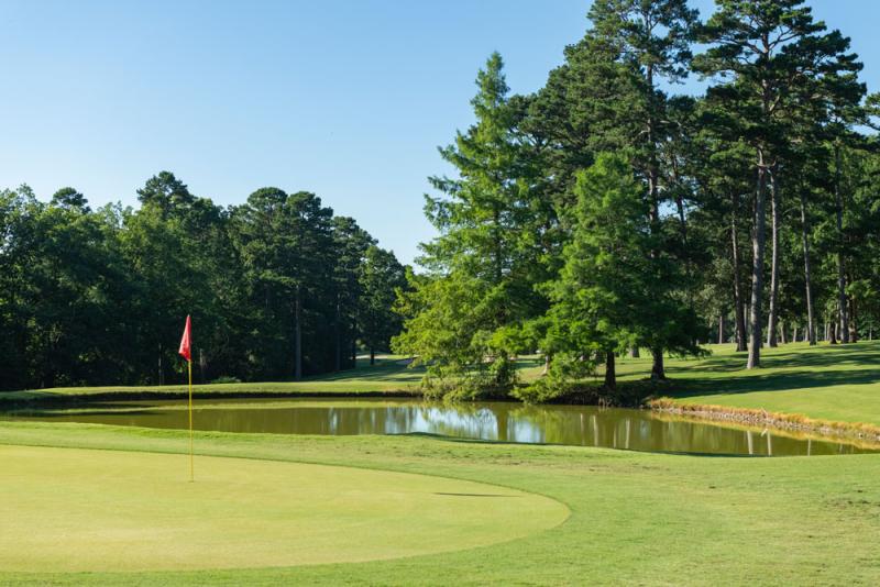 DeSoto-Golf-Course-Hot-Springs-Village-4