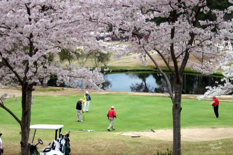 DeSoto-Golf-Course-hole-4-Hot-Springs-Village